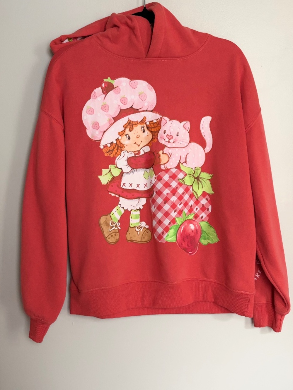 Y2K-inspired nostalgic Strawberry Shortcake Gingham Kitty Pull-over Hoodie - XS